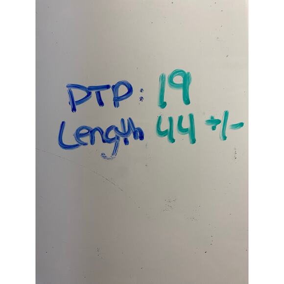 NWT GIANNI BINI Elizabeth Dress in Blue Macaw Lace Overlay Long Fringe Sz 6 NEW - Picture 6 of 6